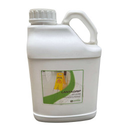 LANTAGRIP.M ANTI-GLISSE MARBRE